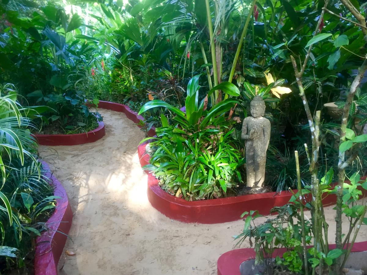 Red Frog Bungalows Surf Resort Бастиментос Екстериор снимка